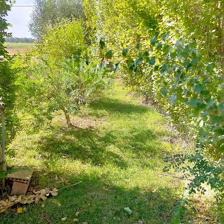 Holiday home Dei Pioppi Marconia